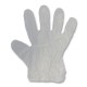 Clear Plastic Disposable Gloves 